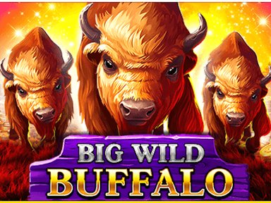 bigwildbuffalo_Horizontal.png