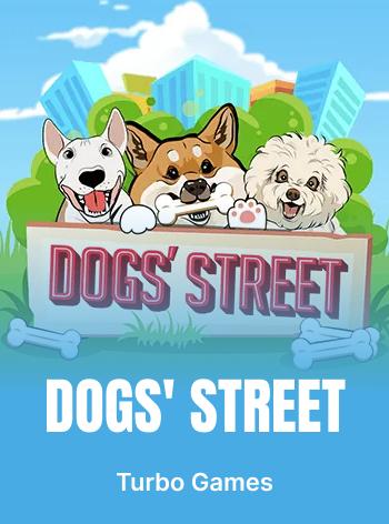 dogs-street.webp