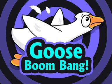 gooseboombang_Horizontal.jpg