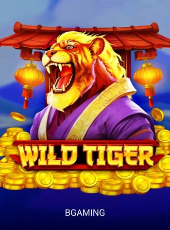 wild-tiger.webp